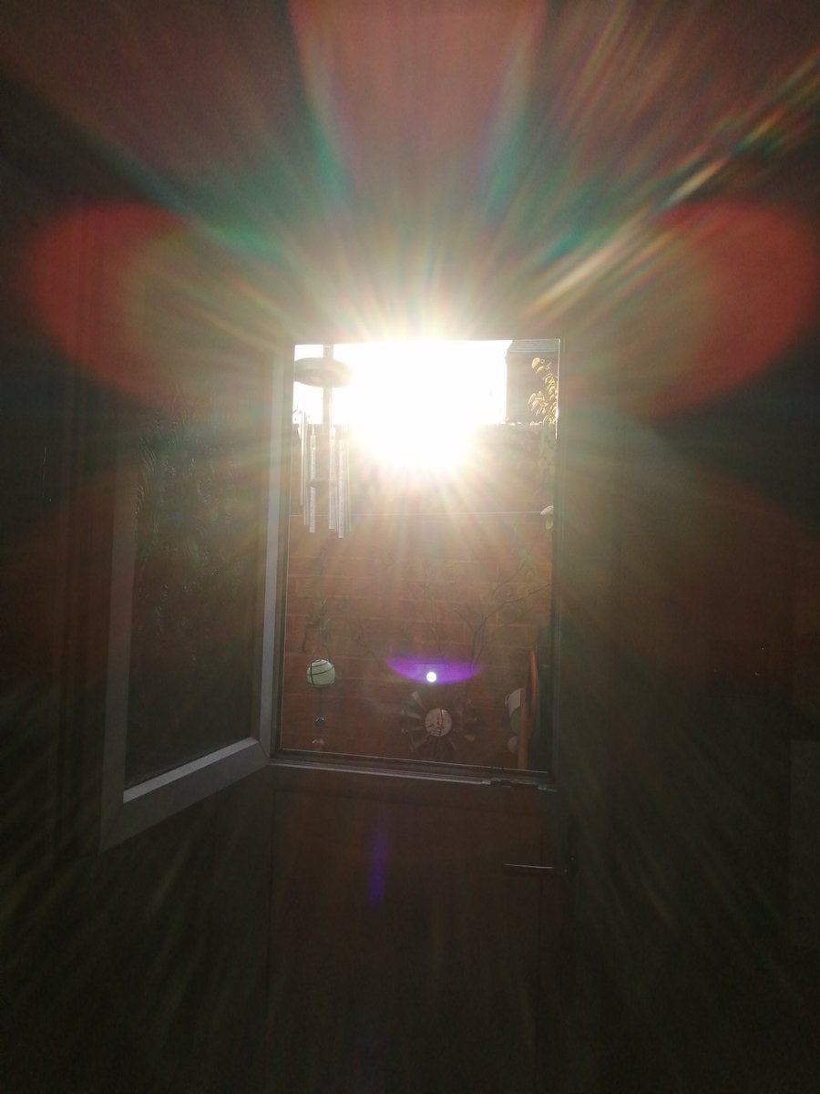 We Are HumanKIND tweet media