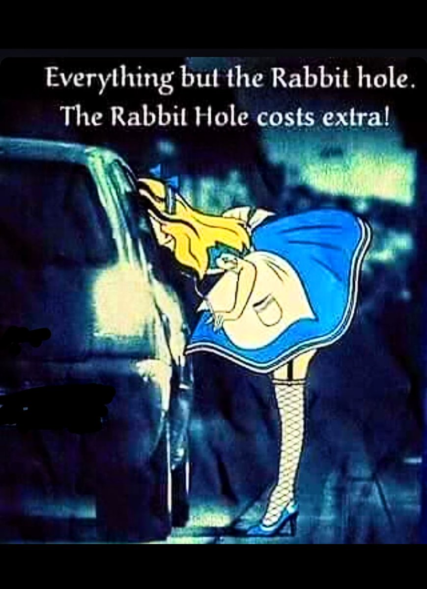 Opus Buddly tweet media