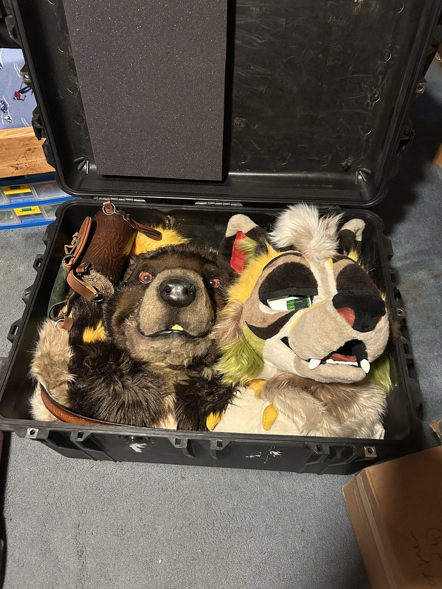 Sid ✈️ tweet media