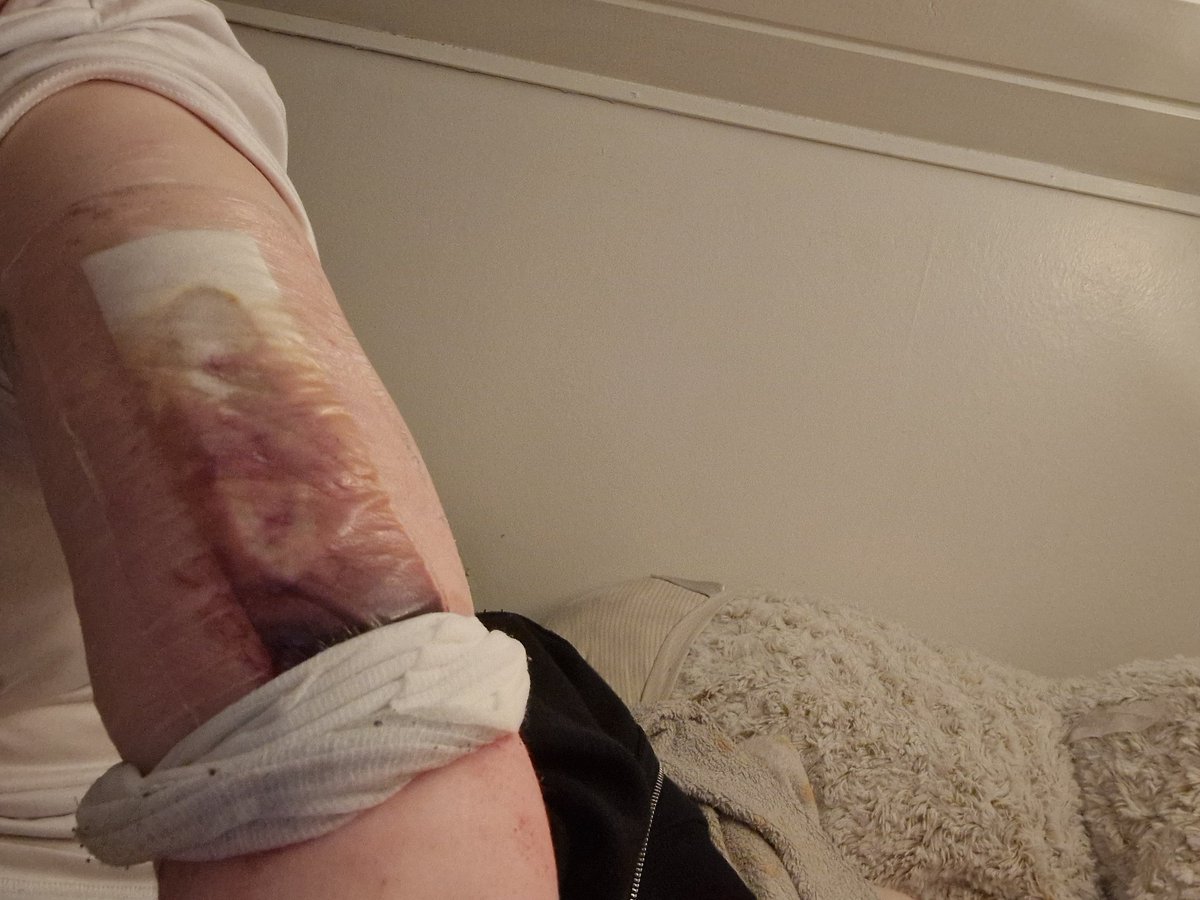 Kiwi Kitties tweet media