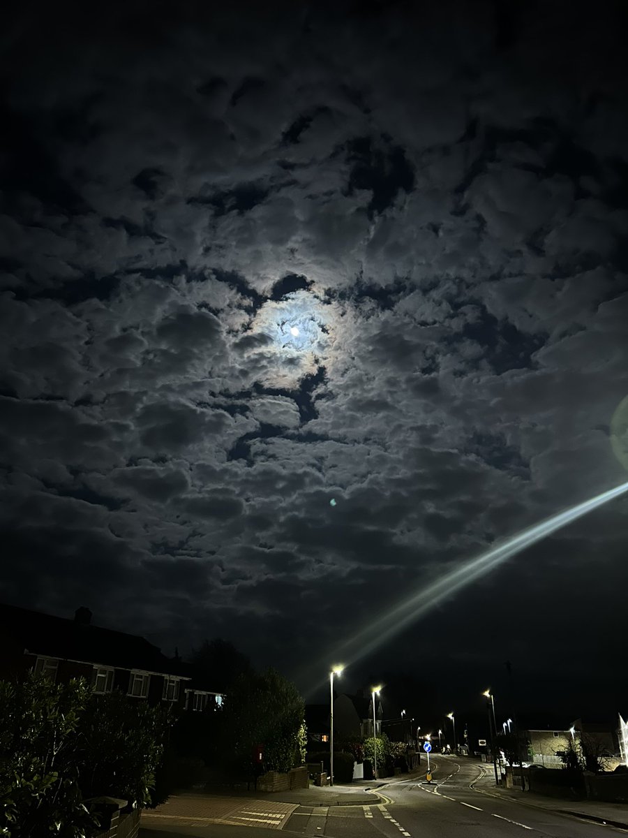 starboy 🇵🇸 tweet media