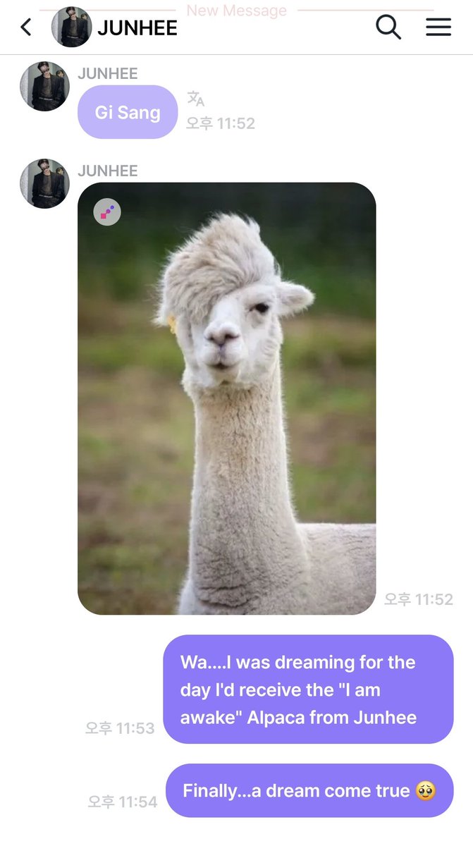 🍞 와우빵 🍞 tweet media