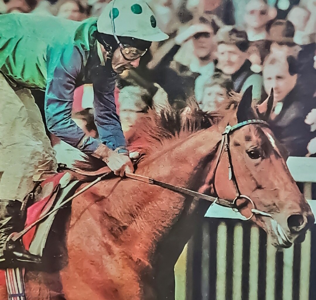 The 2000 Guineas tweet media