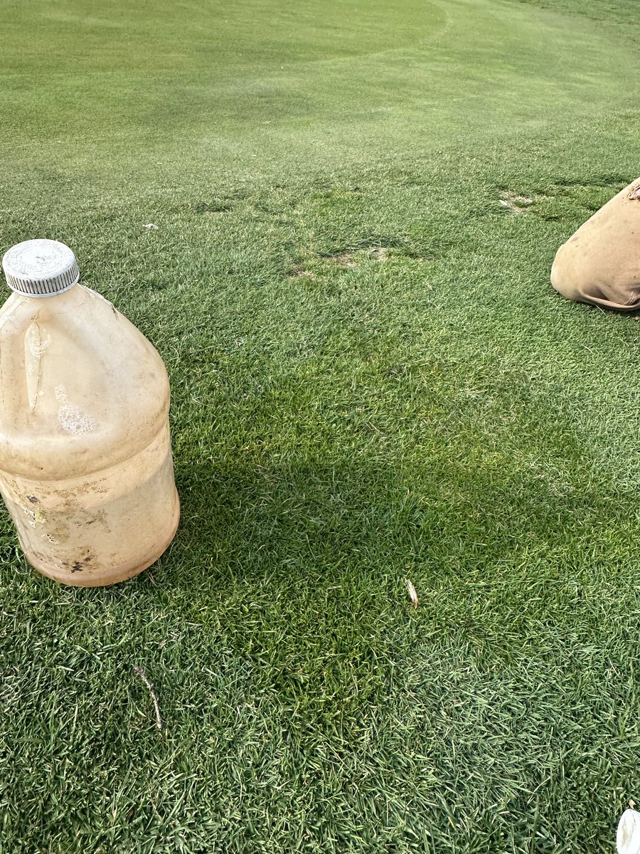 Nick Pollio tweet media