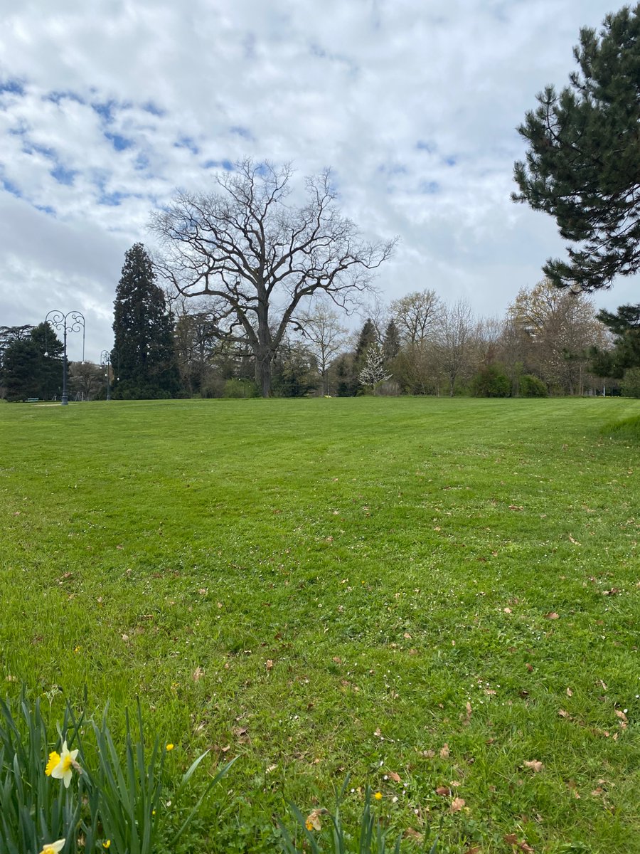 Teimur-golden tweet media