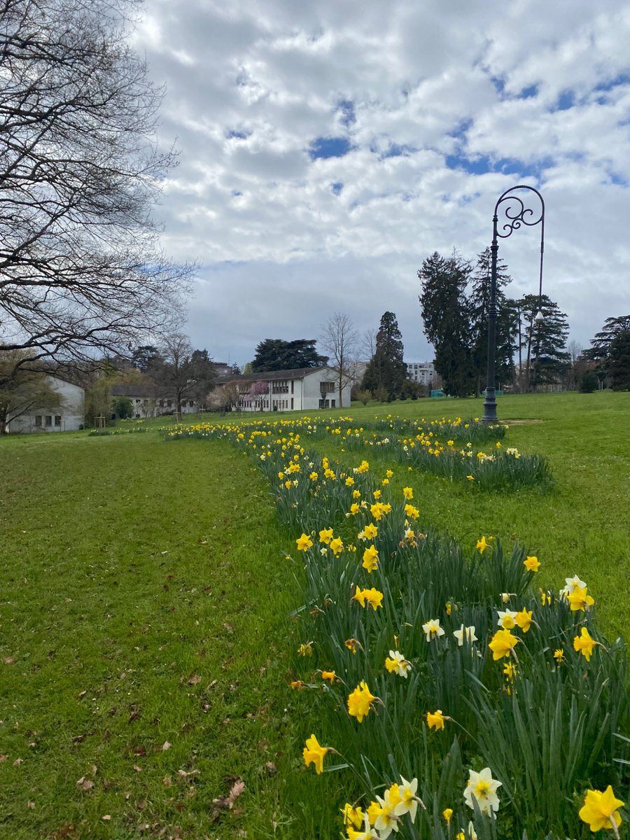 Teimur-golden tweet media