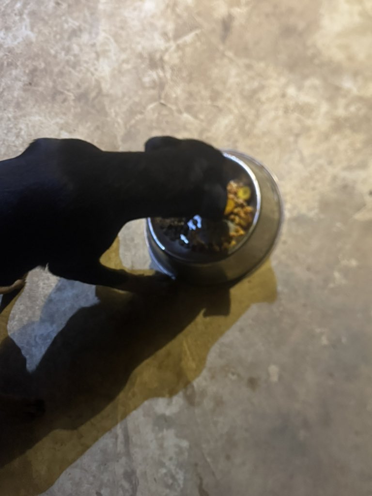 Olaoluwa tweet media