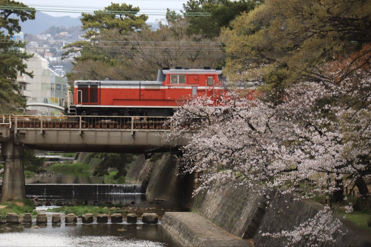 西のカモレ tweet media