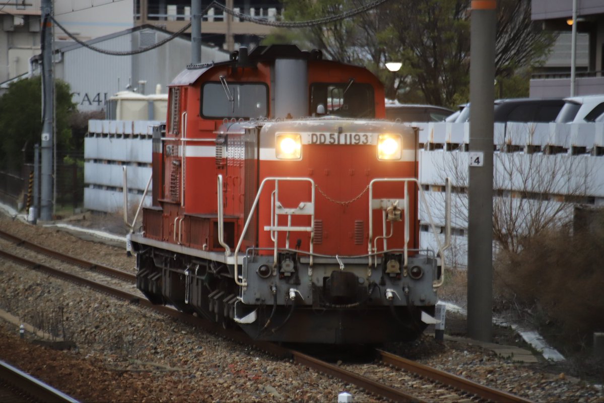 西のカモレ tweet media