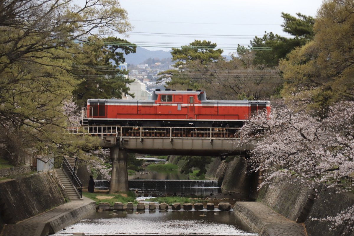 西のカモレ tweet media