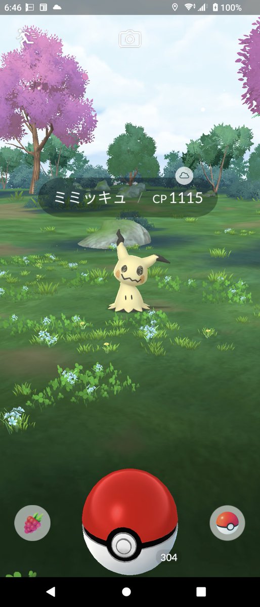 どれみ♪風邪でダウン(ToT) tweet media