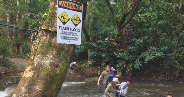 Maui's tweet image. Monthly Maui Guide Newsletter - mailchi.mp/mauiguide/apri…
#Maui (Fire, Water, Housing, Storm) News, Secret Beaches, Top Maui Waterfalls, Maui Itinerary,  New Paia Restaurant Review