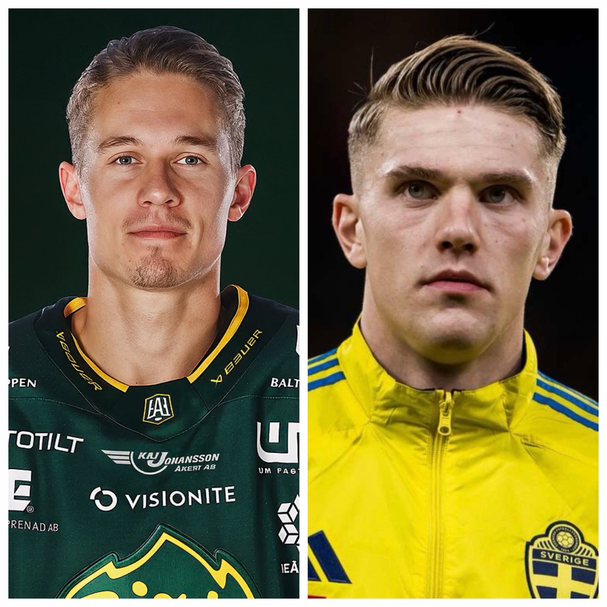 🍒 #Björklöven
