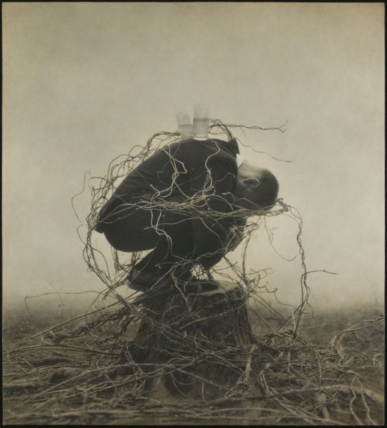 Rubedo Nihil tweet media