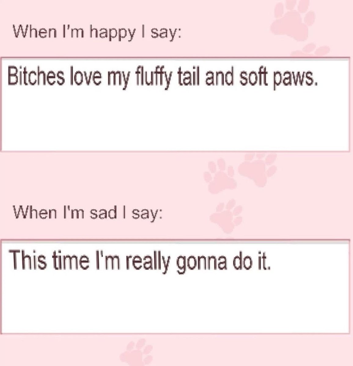 🦴🐾 Amy ! 𐔌՞. .՞𐦯 tweet media