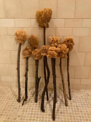 Michael McGill 🏛 tweet media