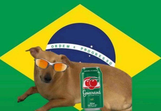 flacachorra é TETRA DA AMÉRICA tweet media