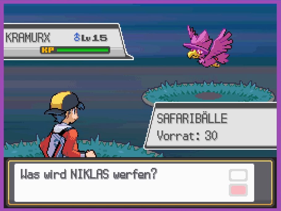 SH_Niklas tweet media