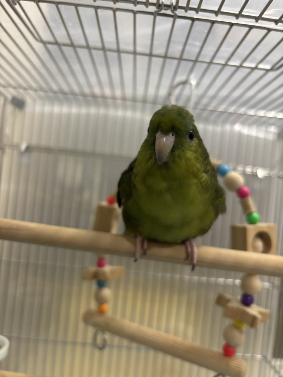 ﾚﾓﾏﾏ🍋( ●⁰⊖⁰●) 𓂋𓇋𓅓𓍯𓅓𓄿𓅓𓄿 tweet media