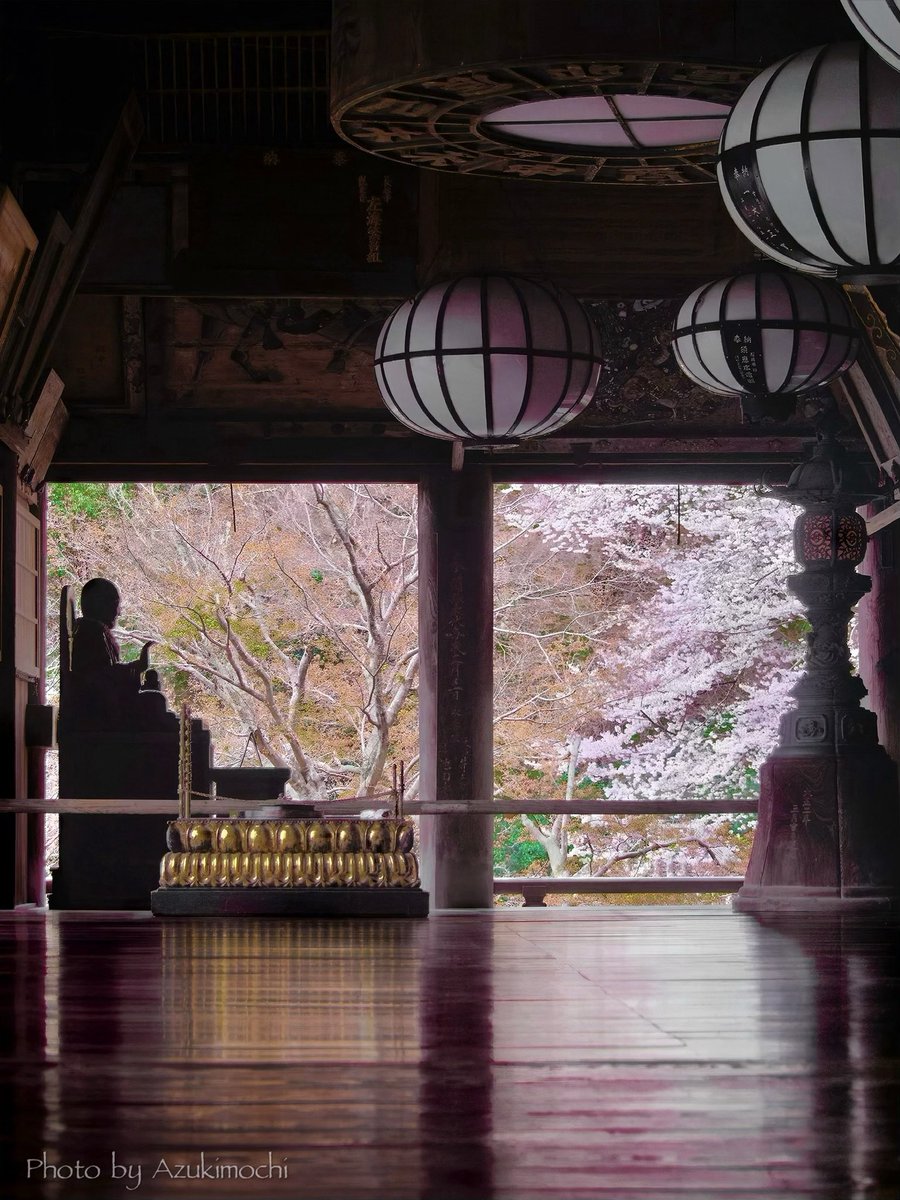 小豆餅乃部屋 ⚘ ⡱ tweet media