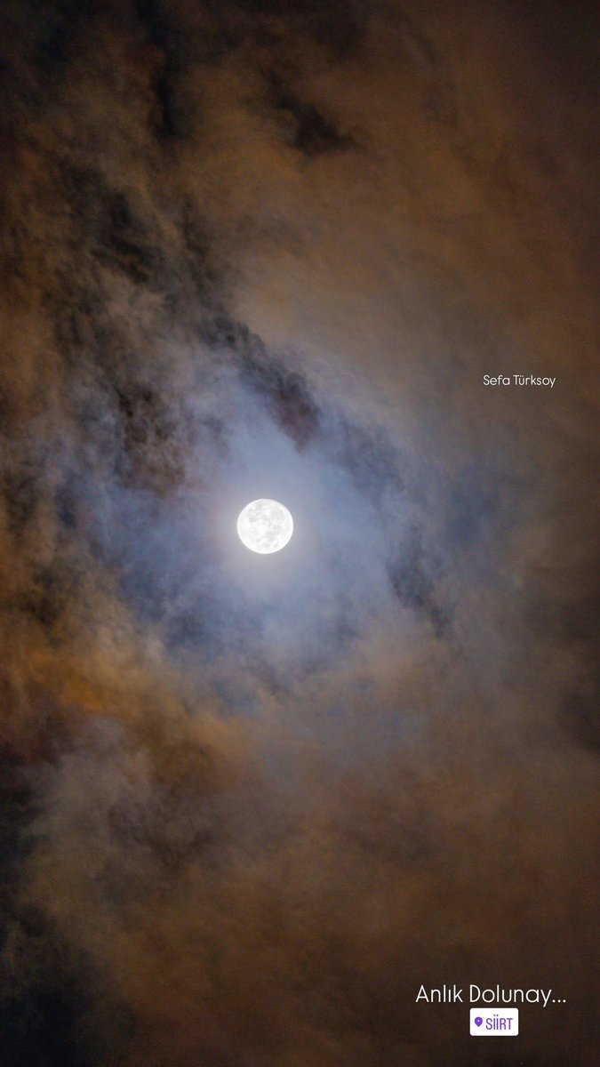 Sefa Türksoy tweet media