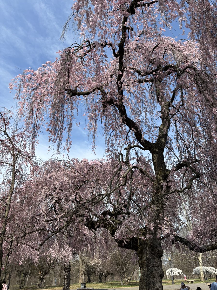 veronica, allegedly… tweet media