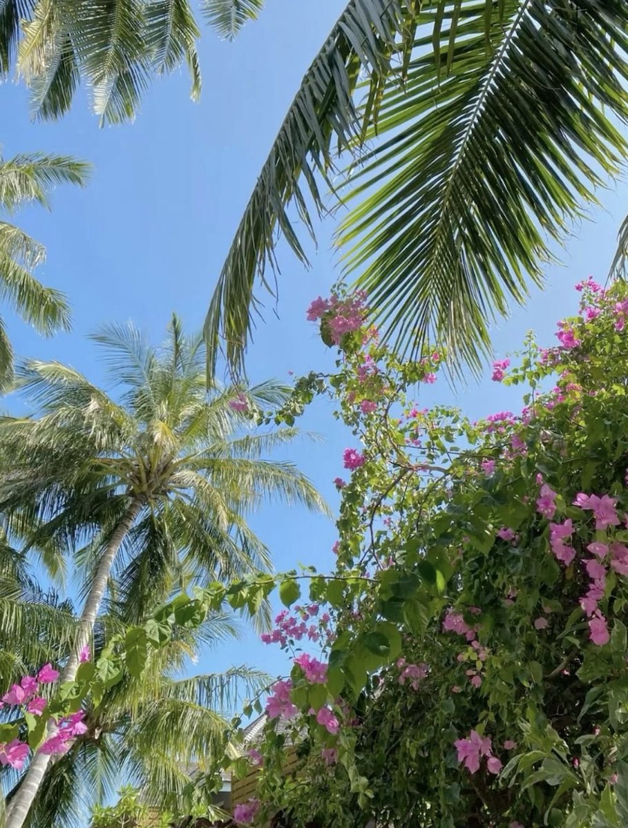 𝙈𝙖𝙧𝙮 tweet media