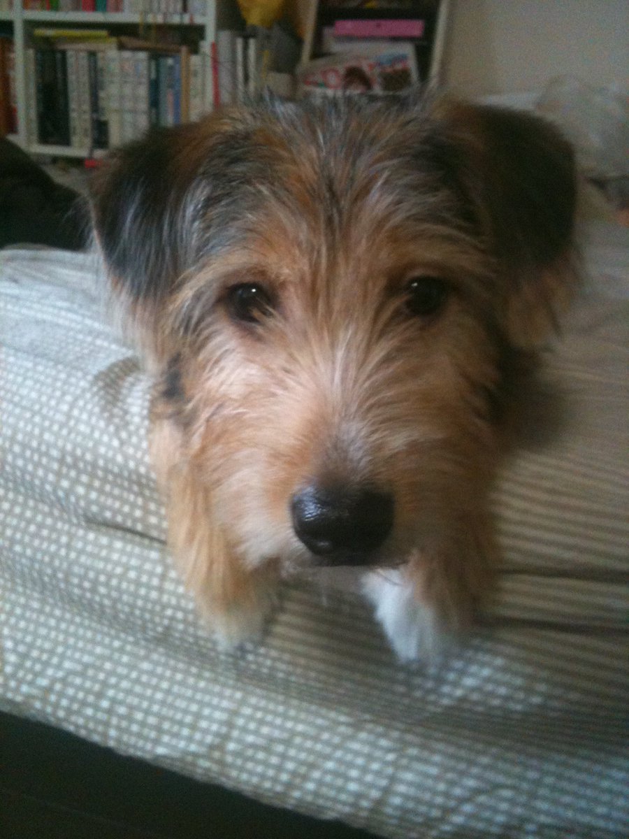 やまでぃ akaファンタジーおじさん tweet media