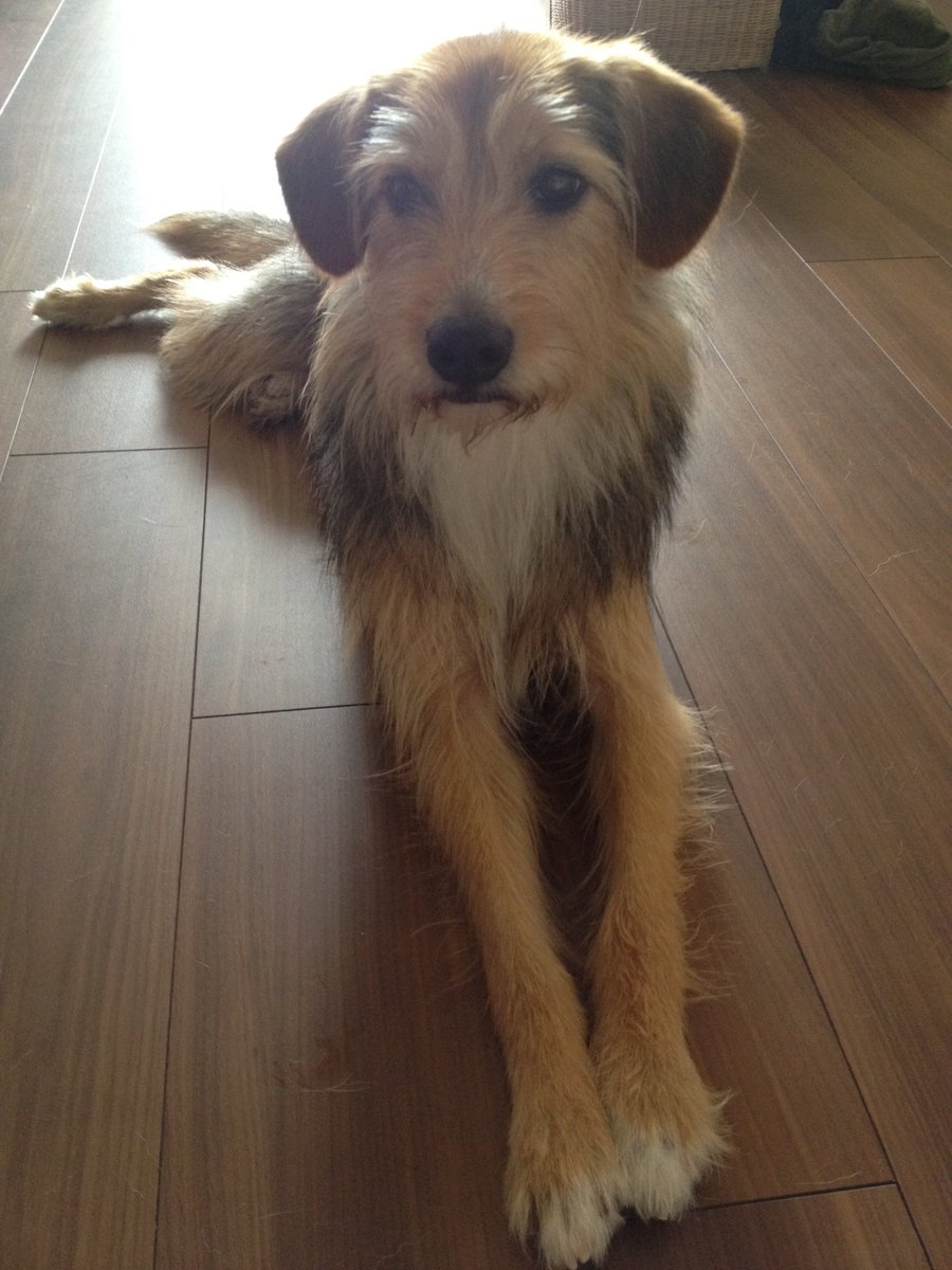 やまでぃ akaファンタジーおじさん tweet media