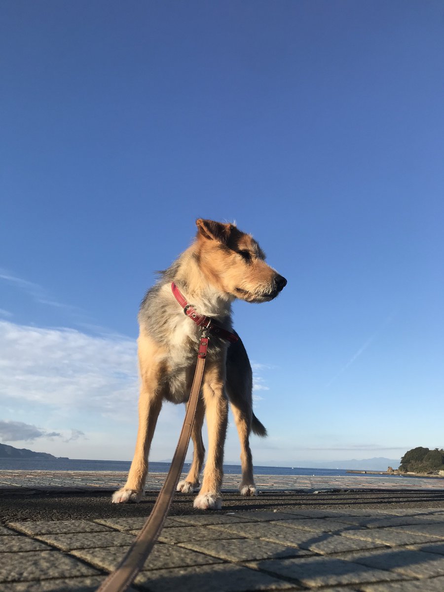 やまでぃ akaファンタジーおじさん tweet media