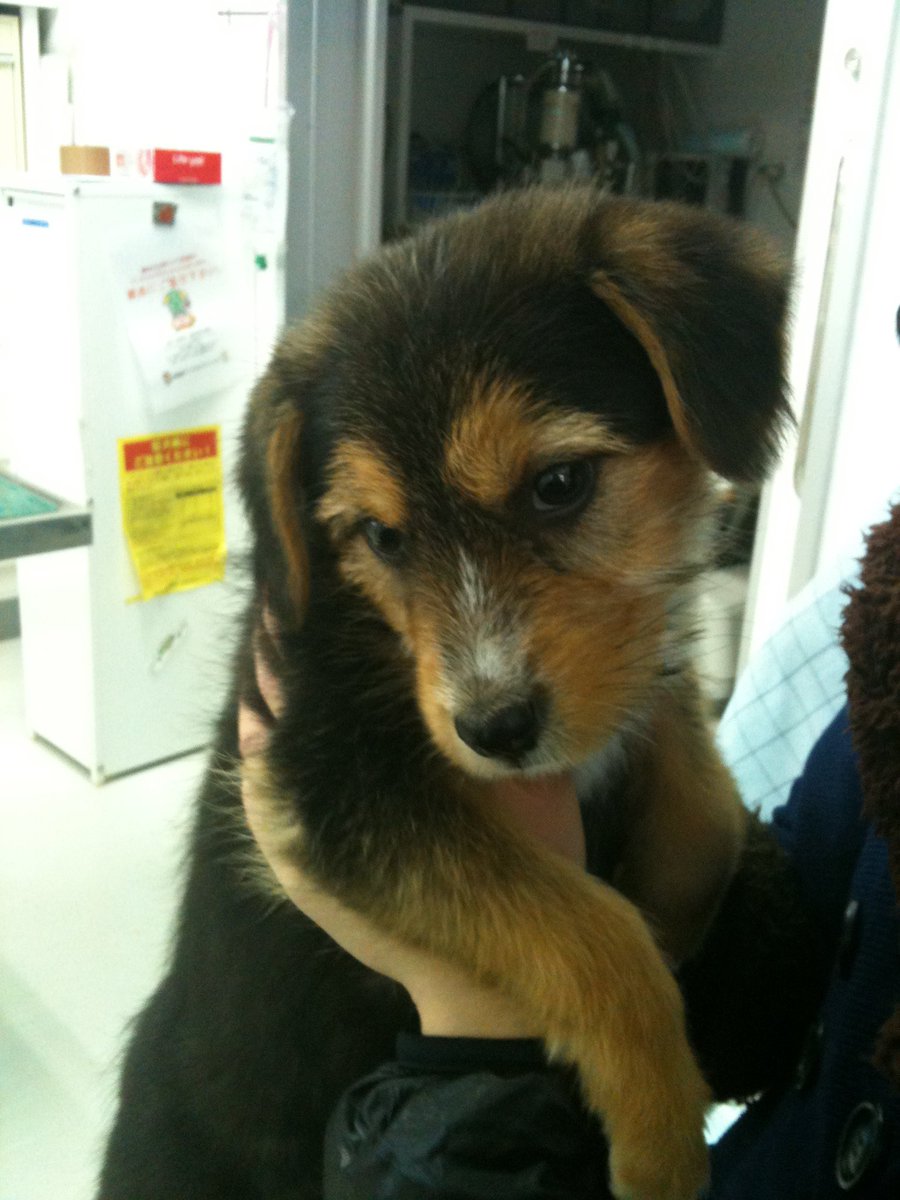 やまでぃ akaファンタジーおじさん tweet media