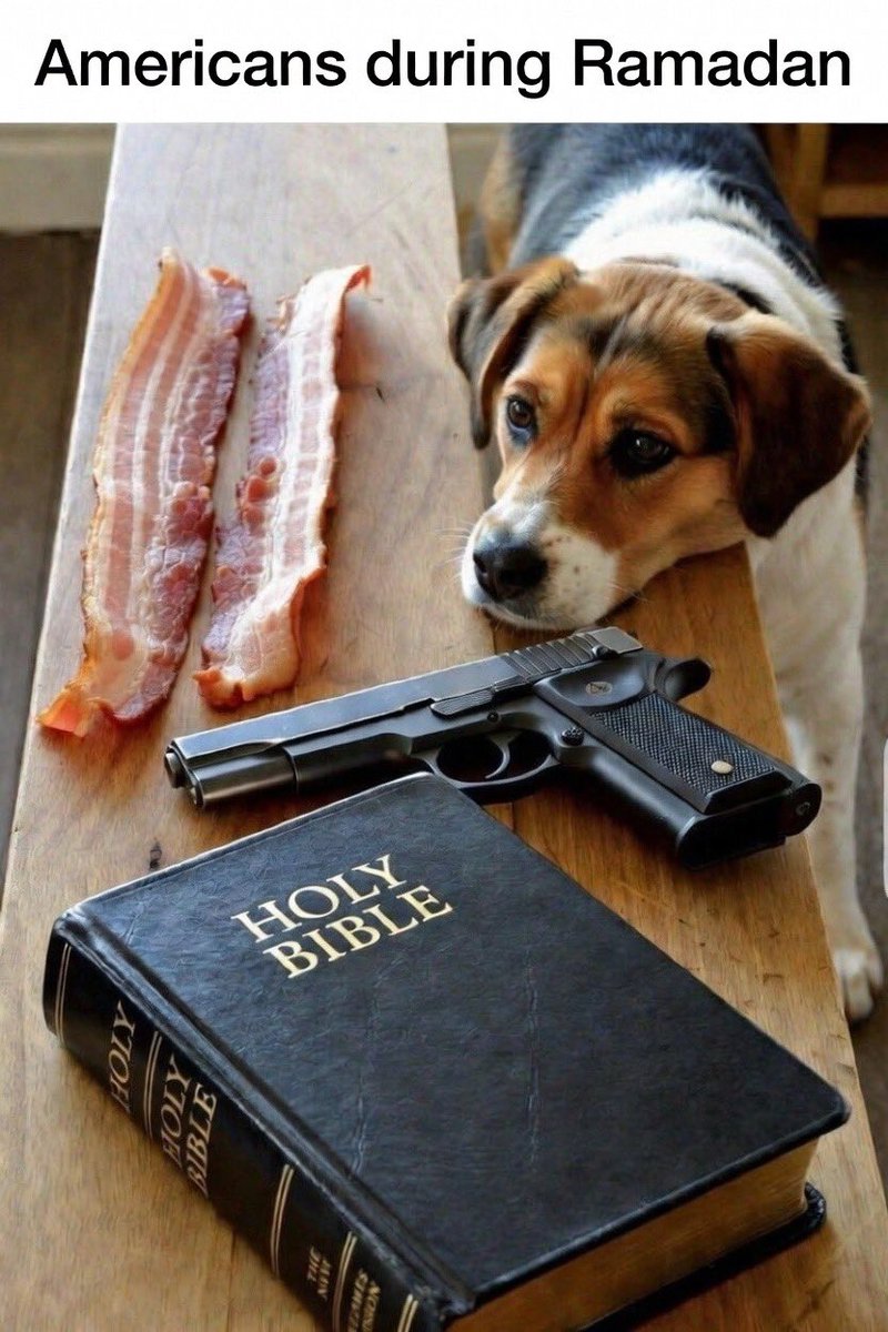 Walter Miller 🇺🇸 tweet media