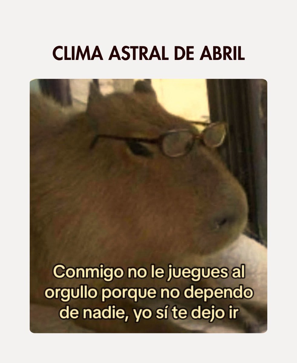 Bibian | Astrología y Herbalismo 💫 tweet media