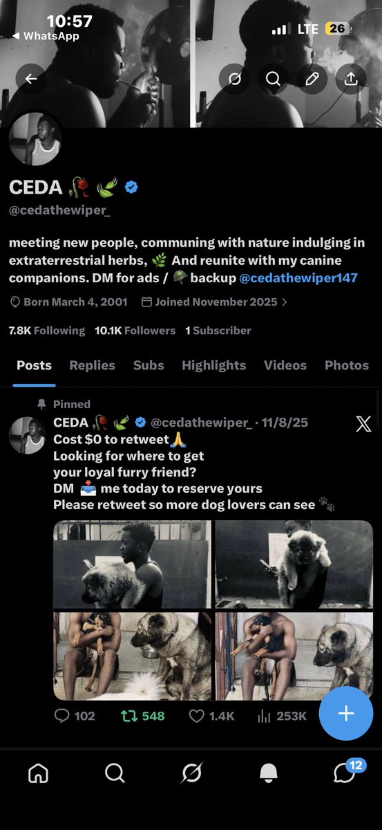 CEDA 🥀 🍃 tweet media