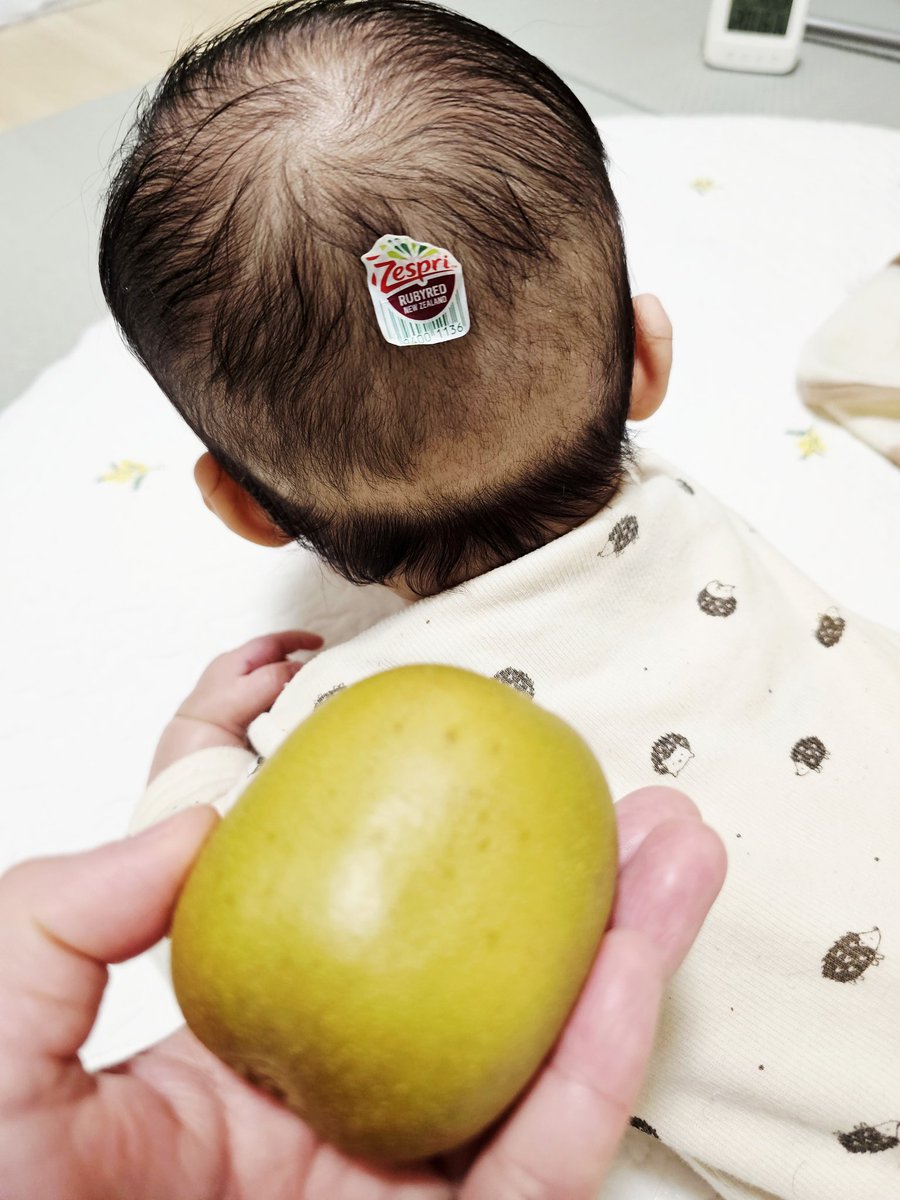 茉莉花❀ tweet media