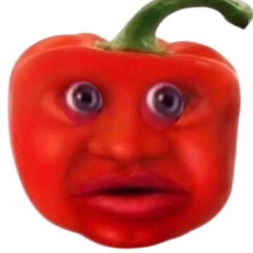 Confessions du Leftwt français tweet media