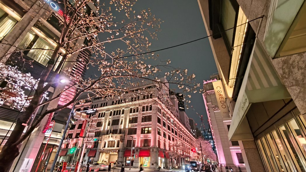 Scomb🍄 tweet media