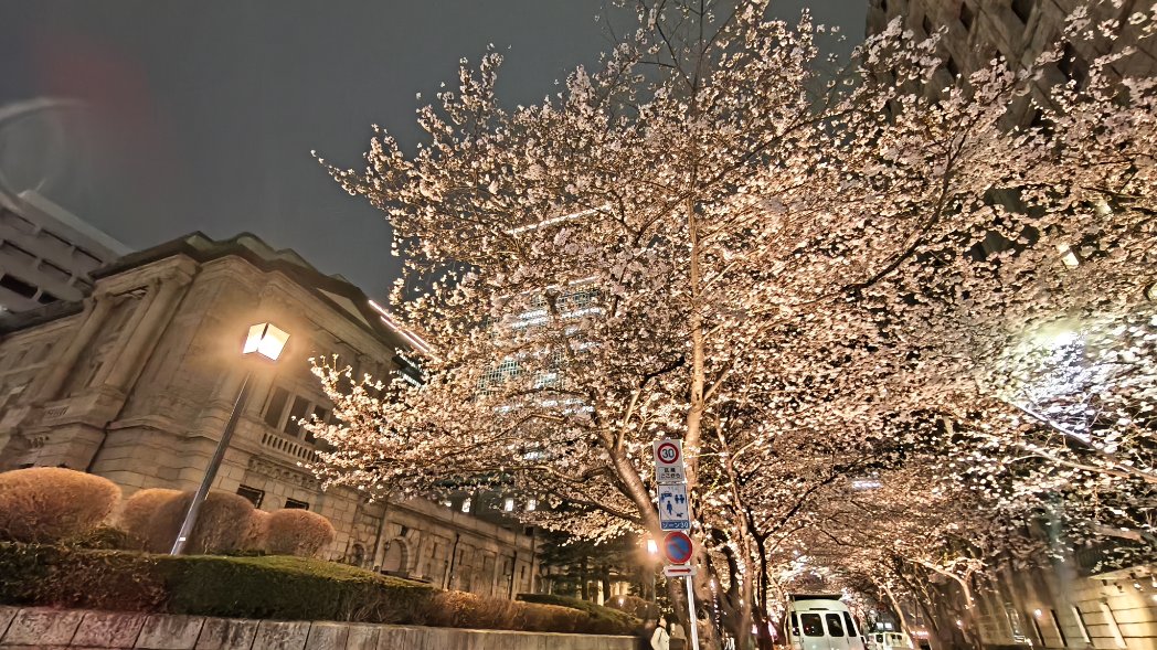 Scomb🍄 tweet media