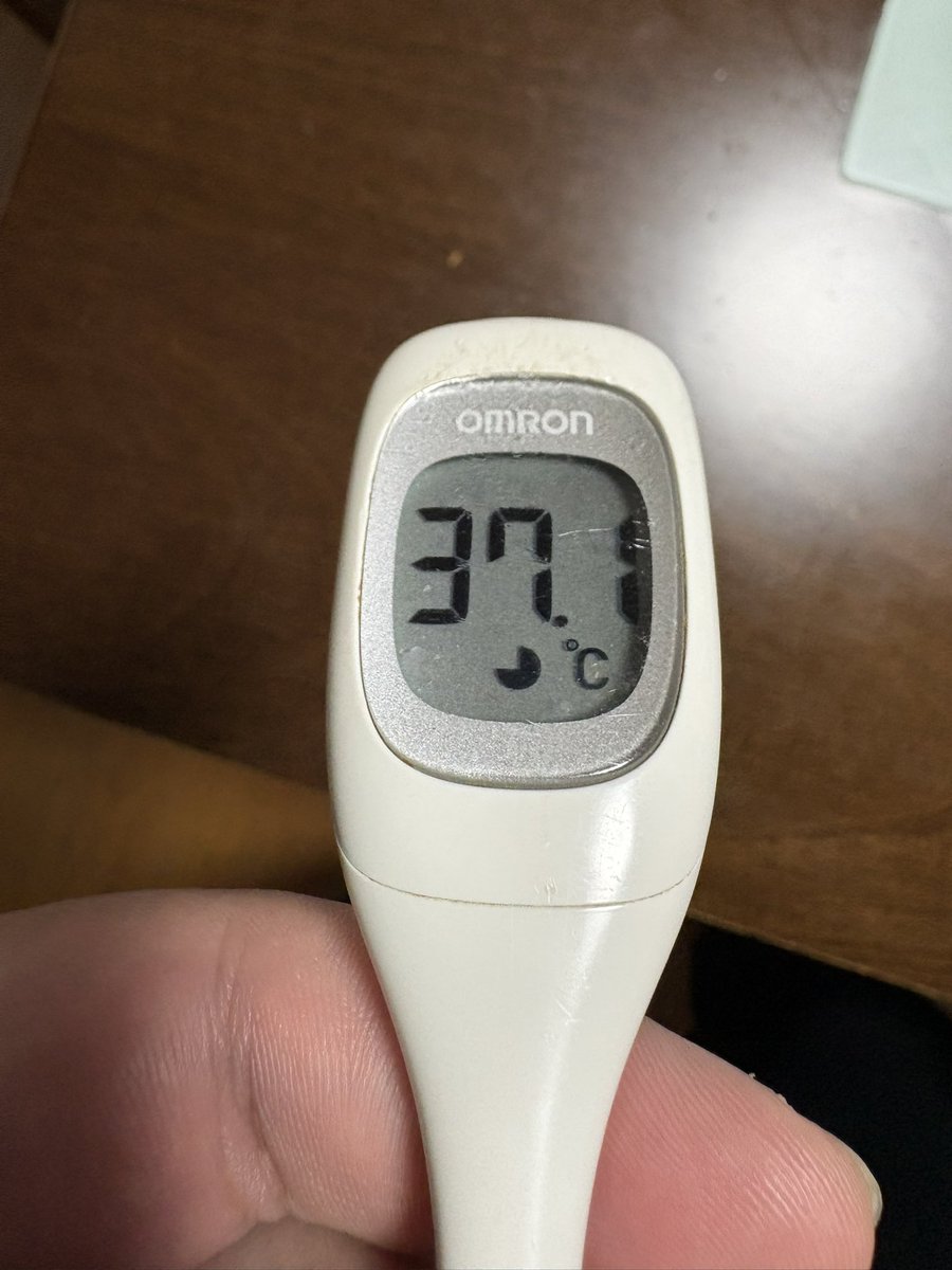 らいち旅チャンネル tweet media