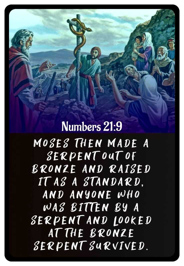 Matthew Linstad tweet media