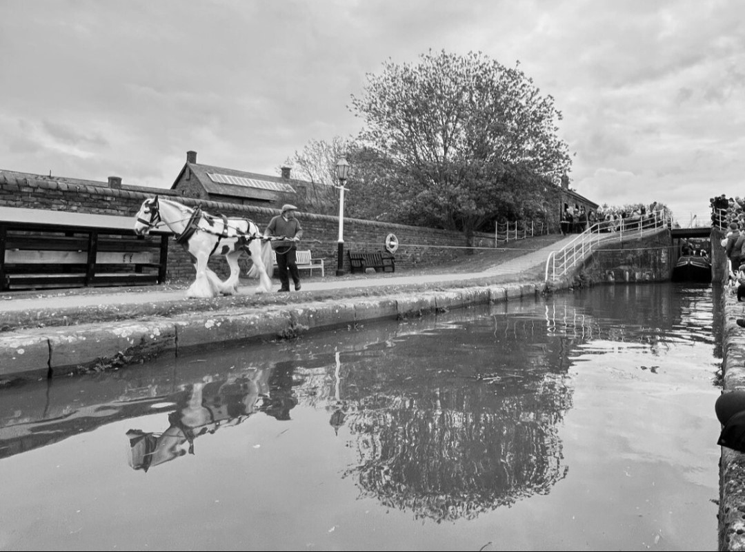 Arroyos Libres ® tweet media