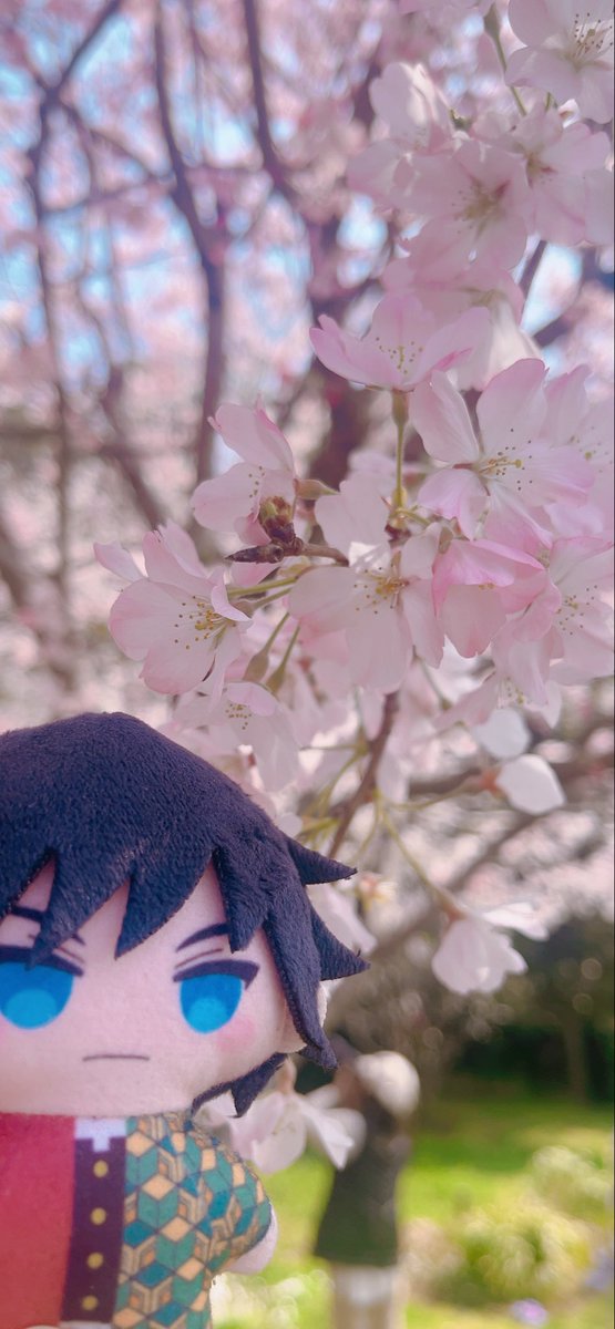 にゃー tweet media