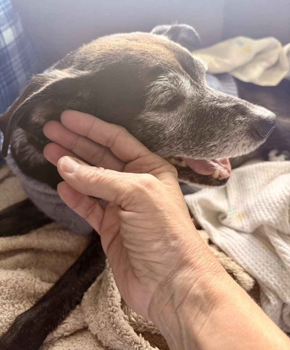 Julie Anne tweet media