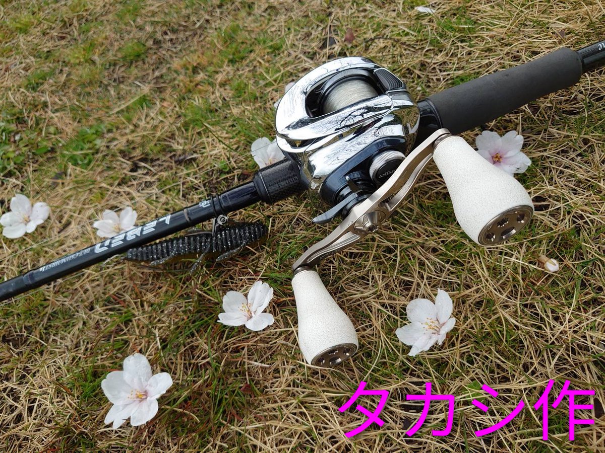 エルエル tweet media