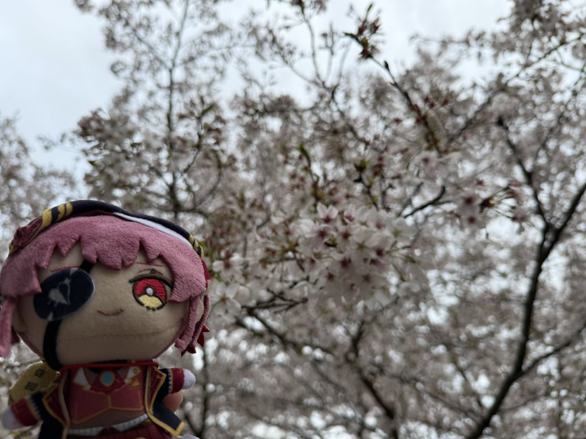 cecile701🏴☠️ tweet media