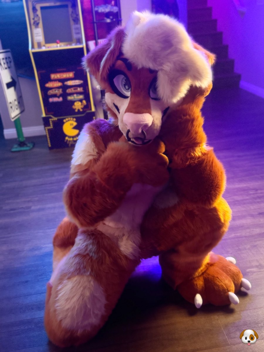 DJ 💪🐶 🔜 LVFC, EDC tweet media