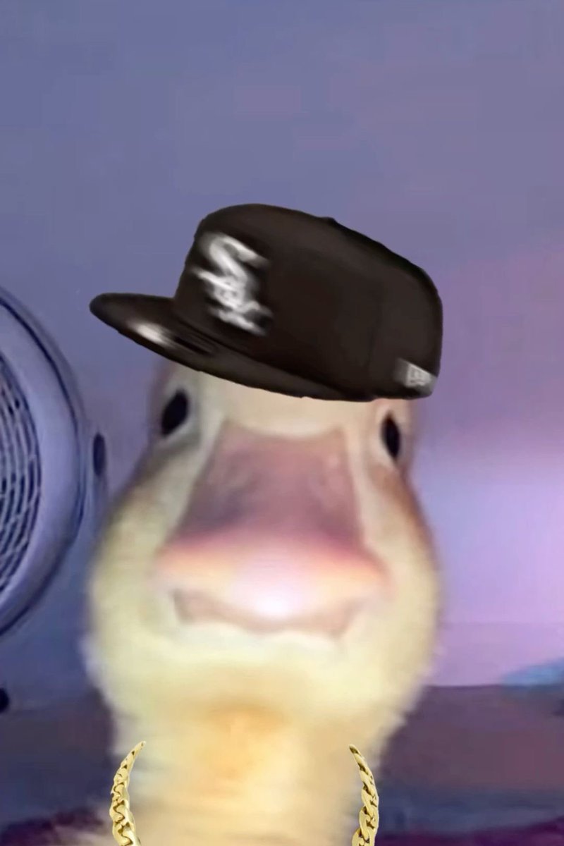 TCDAlpha's tweet photo. @yuckyducks The entire @TCDAlpha is ready to take a seat at the table 

Bullish and locked in🔥 https://t.co/GGnTRRMtCA