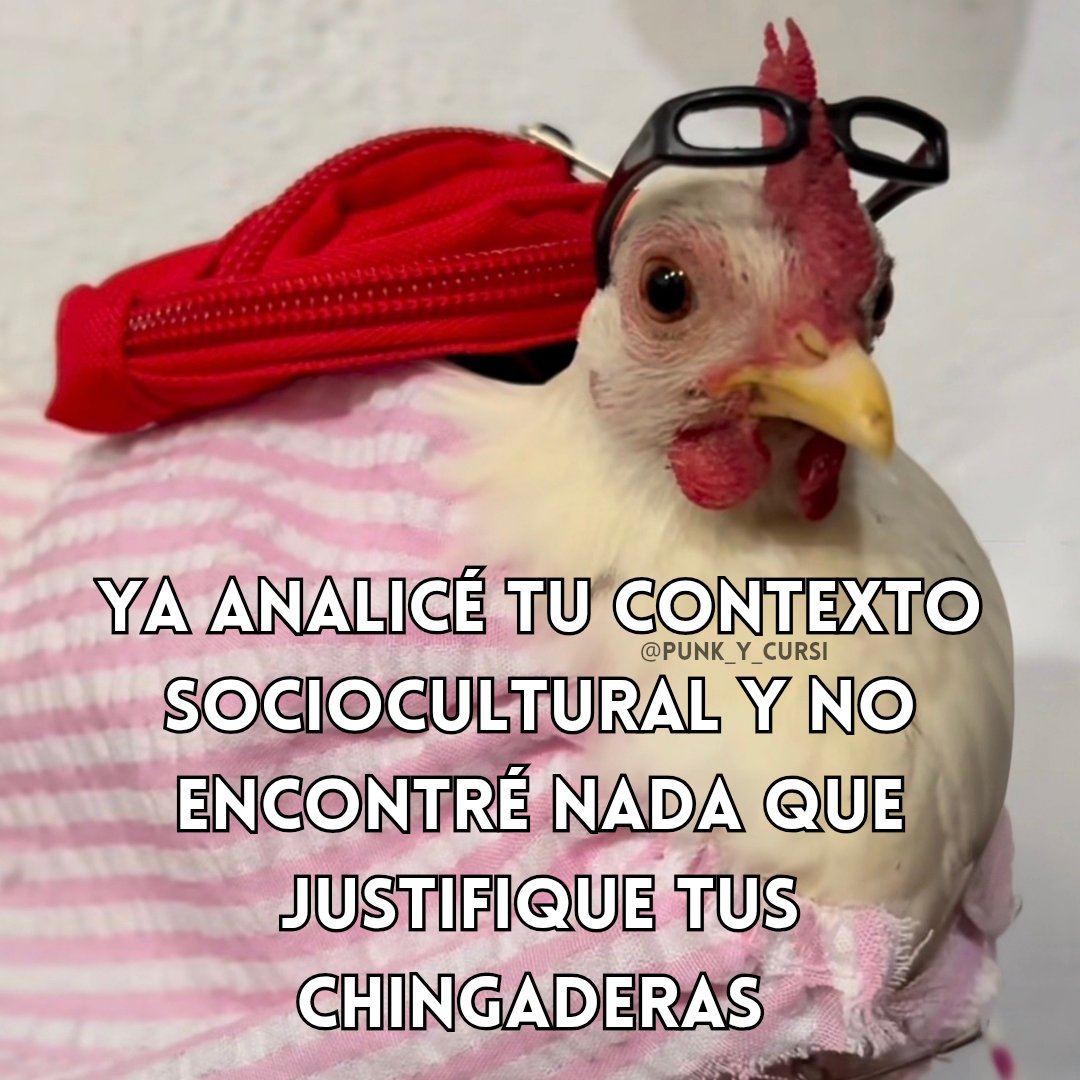 𝑷𝒖𝒏𝒌 𝒚 𝒄𝒖𝒓𝒔𝒊 tweet media