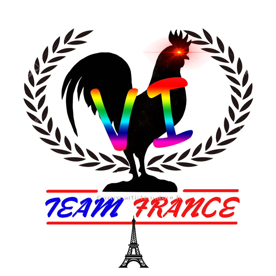 Équipe de France OW 🇫🇷 tweet media