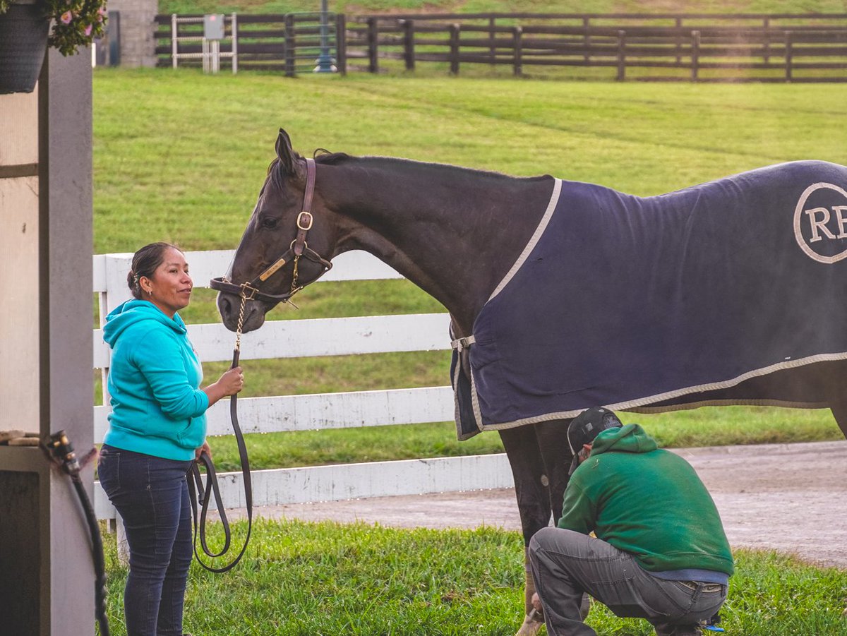 Brissetracing's tweet photo. Wrapping up Women’s History Month with a special #TeamTuesday 👏

We are so grateful for the incredible women on our team whose hard work and dedication make a difference every day. 💙🐎 https://t.co/gpN2f7YzOD